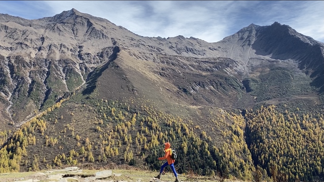 稍早前智能推广精准化定制您的财务系统:长期免费引流的双核心,早餐店汤里死老鼠脚已熬得发白